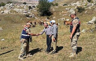 Üzümlü’de 4 gündür kayıp 17 büyükbaş hayvanı...