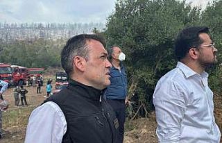 Vali Sözer, Vezirhan’daki orman yangını yerinde...