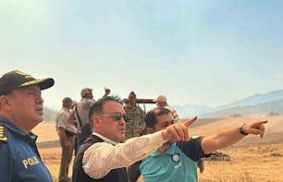 Vali Sözer, yangın bölgesinde inceleme yaptı