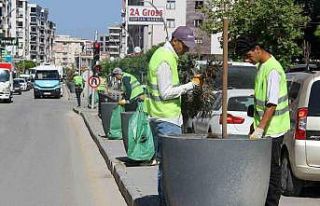 Van Büyükşehir Belediyesinden yeşil alanlarda...