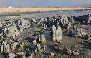 Van Gölü su kaybetmeye devam ediyor