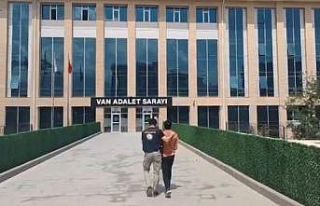 Van’da 2 organizatör tutuklandı