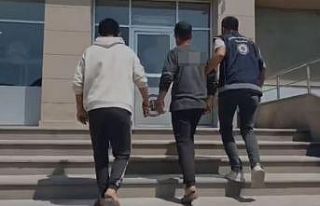 Van’da 3 organizatör tutuklandı
