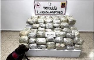 Van’da 70 kilo skunk madde ele geçirildi