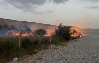 Van’da ağaçlık alanda yangın