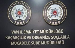 Van’da gümrük kaçakçılığı operasyonu