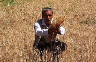 Vanlı çiftçiler sulama göleti istiyor