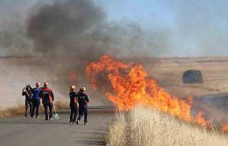 Verim için yapıldığı sanılıyor, toprağı zarara...