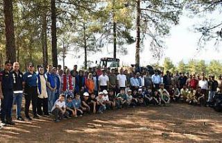 Vezirköprü’de orman temizliği seferberliği