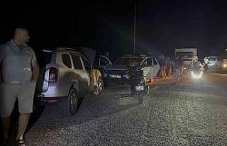 Yaban keçileri yangın sebebiyle doğal yaşam alanlarından...