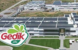 Yağız Gedik; "Gedik Piliç’in ülke ekonomisine...