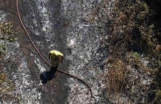 Yalova’da çıkan orman yangını büyümeden söndürüldü