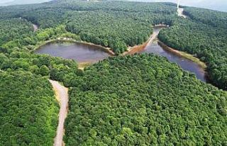 Yalova’da ormanlara girişler yasaklandı