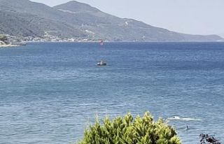 Yalova’da yunusun yüzen vatandaşla burun buruna...