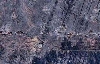 Yangın bölgesinde enerji hatlarının onarımı...