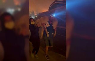 Yangın bölgesindeki hayvanların tahliyesi için...