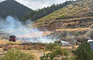 Yangın ormana sıçramadan söndürüldü