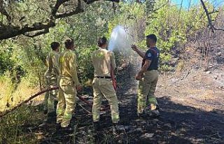 Yangına zamanında müdahale buğday tarlasını...