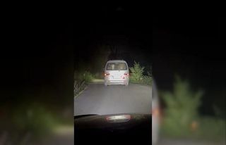 Yangında mahsur kalan hayvanları tahliye ettiler