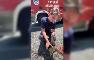 Yangında mahsur kalan kaplumbağaya itfaiyeden yardım...