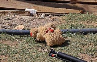 Yangında oyuncaklarını bırakıp ebeveynlerine...