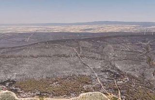 Yangında tahribatın boyutu havadan görüntülendi:...