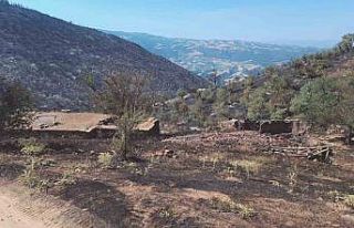 Yangından geriye küle dönen evler ve tarlalar kaldı