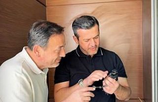 Yangından yaralı kurtarılan saksağana belediye...