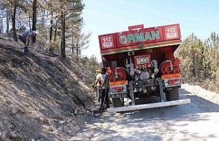 Yangınla mücadelede onları ne uykusuzluk ne de...