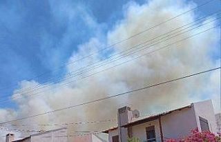 Yangınlar Çeşme’ye sıçradı: Otluk alanda çıkan...