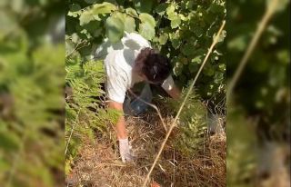 Yangınlara dikkat çekti, ormanı temizledi