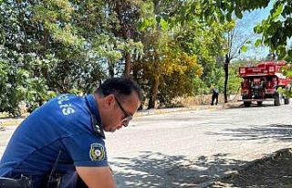 Yanmak üzere olan kaplumbağayı polis son anda kurtardı