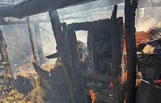 Yaprak pişirilirken çıkan yangın ahıra sıçradı,...