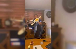 Yaralı leyleğe şefkat eli