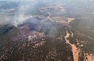 Yatağan yangını kontrol altında