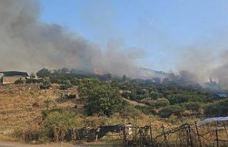 Yerleşim yerine yakın mesafede çıkan yangın büyümeden...