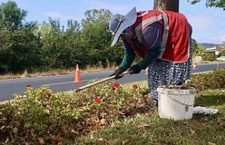 Yeşil alanlara kadın eli değiyor