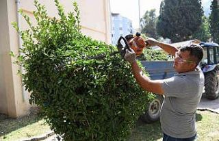 Yeşil bir Yunusemre için çalışmalar aralıksız...