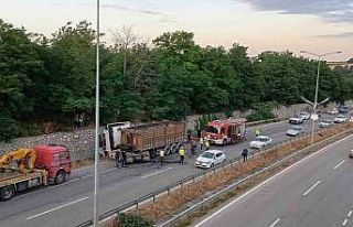 Yola düşen tomruk kazaya yol açtı: Traktör sürücüsü...