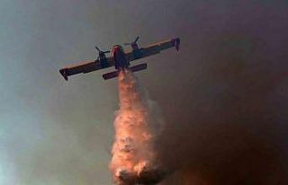 Yunanistan’ın Oropos bölgesinde orman yangını