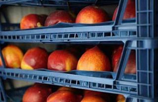 Yüzyılın don olayı sonrası fırsatçılık tepkisi:...