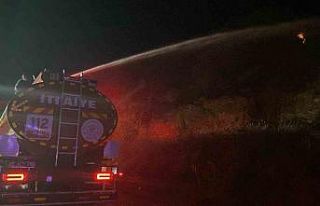 Zeytinlik alanda çıkan yangın ekiplerin erken müdahalesi...