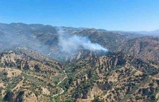 Zeytinlik alanda yangın çıktı, müdahale sürüyor