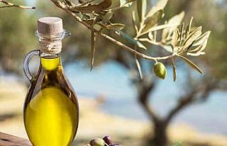 Zeytinyağında bu fiyatları "yok yılı"...
