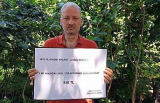 Ziraat mühendisinden fındığın maliyeti hesabı:...