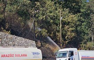 Zonguldak’ta çıkan örtü yangını kontrol altına...