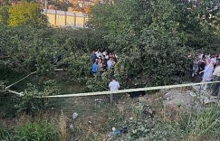 Zonguldak’ta kamyonet fındık bahçesine uçtu:...