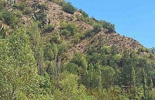 10 gündür kayıp olarak aranan yaşlı adam ölü...