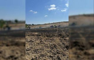 20 dönümlük alan anız yangınında kül oldu