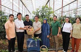 30 yıl önce deneme amaçlı ilk fidan dikildi, bugün...